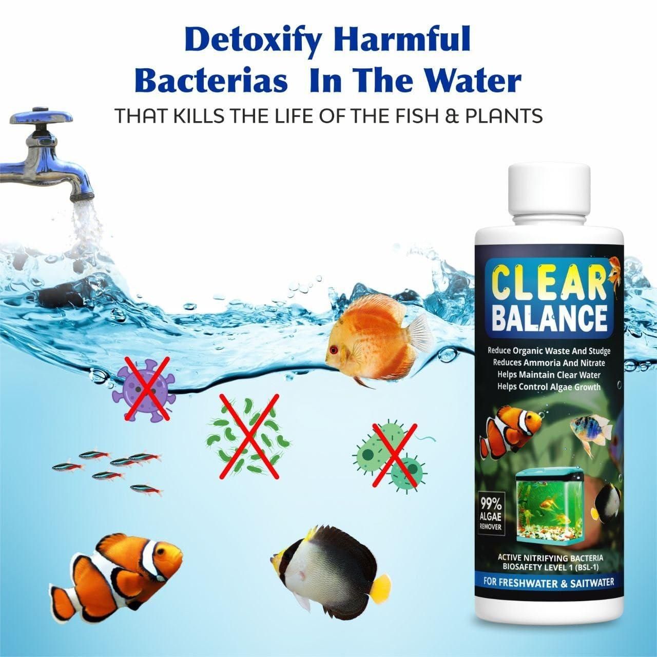 🐠💧 Clear Balance Fish Tank Water Purifier 120ml – Buy 1 Get 1 FREE! 🆓✨