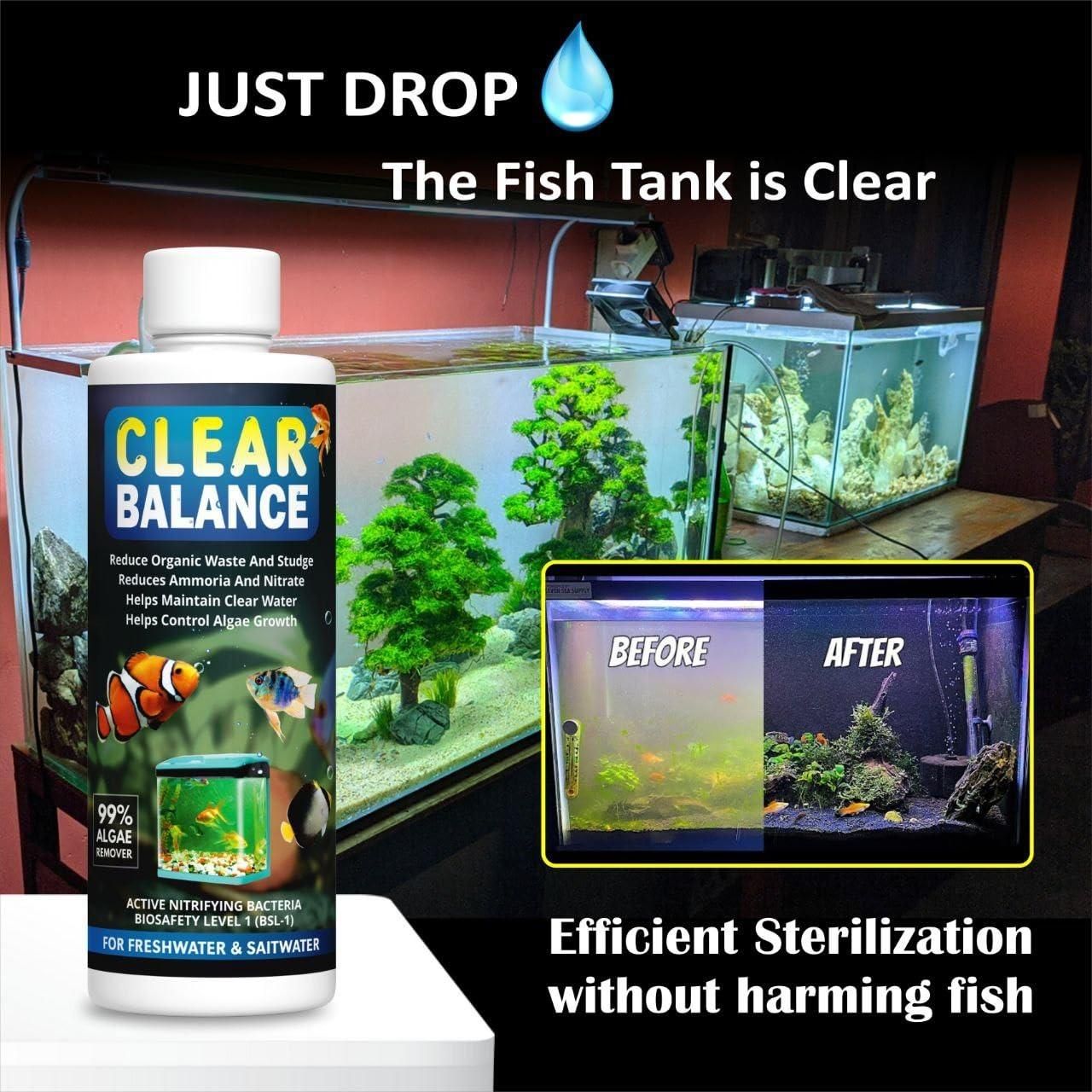 🐠💧 Clear Balance Fish Tank Water Purifier 120ml – Buy 1 Get 1 FREE! 🆓✨