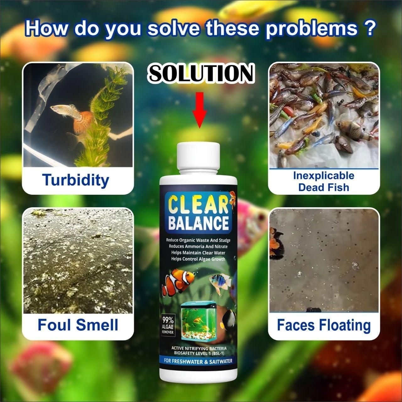 🐠💧 Clear Balance Fish Tank Water Purifier 120ml – Buy 1 Get 1 FREE! 🆓✨