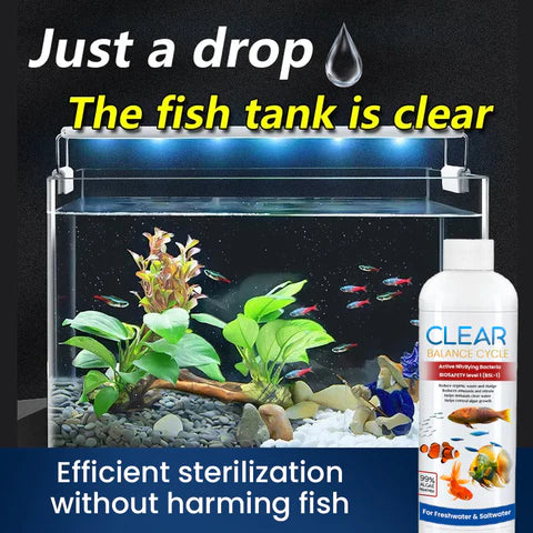🐠💧 Clear Balance Fish Tank Water Purifier 120ml – Buy 1 Get 1 FREE! 🆓✨
